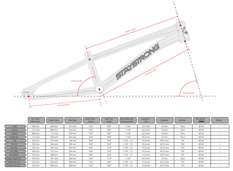 Stay Strong For Life V6.0 2027 BMX Race Frame PREORDER in gray with silver logo, angular tubes and red highlight details.