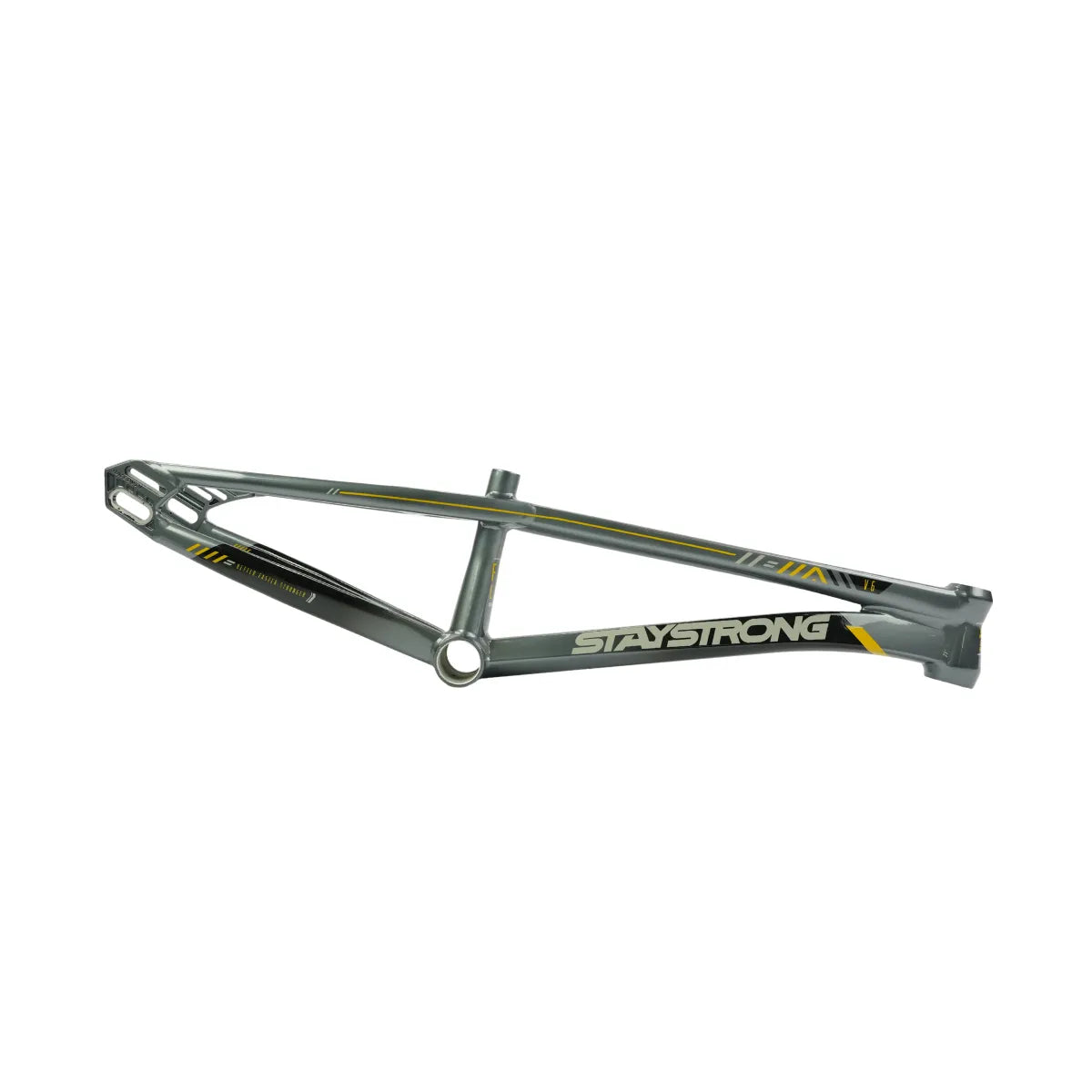 Stay Strong For Life V6.0 2027 BMX Race Frame PREORDER