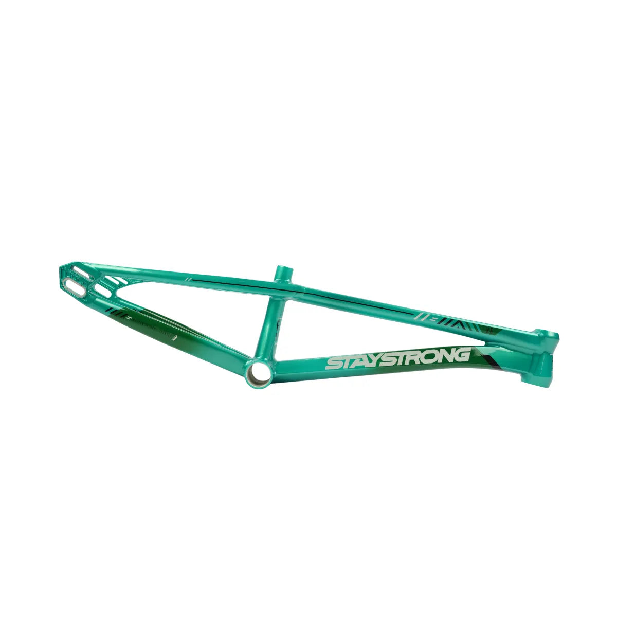 Stay Strong For Life V6.0 2027 BMX Race Frame PREORDER